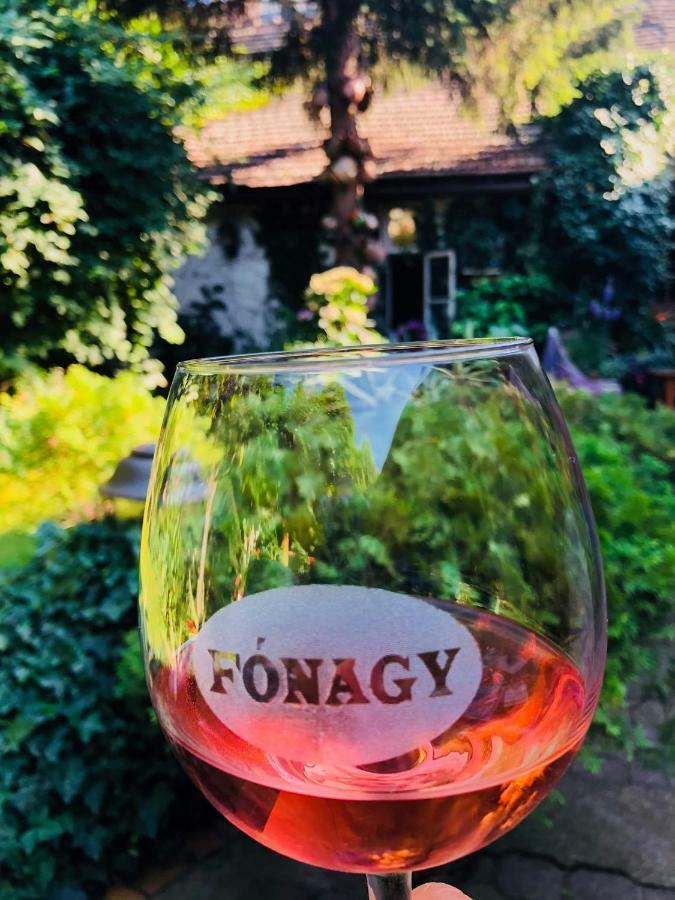 Bed and Breakfast Fonagy Es Walter Vendeg- Es Borhaz Vác Pokoj fotografie